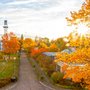 Luftaufnahme des SLV Halle Geländes im Herbst. Sonnenstrahlen durchdringen das bunte Laub und sorgen für eine warme, goldene Atmosphäre.